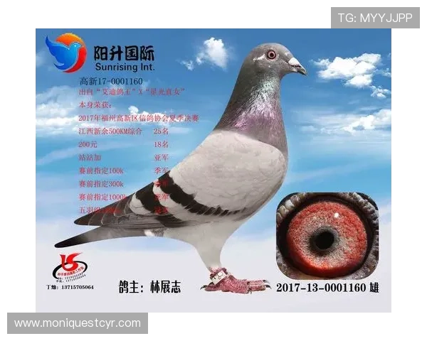 AG国际首页常见问题解答，解决新手玩家的登录、充值与提现疑问